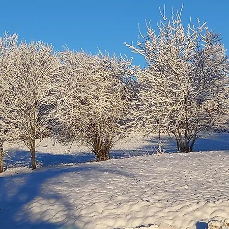 Valreley, Et Table D'hotes Eco-friendly Avec Bain Nordique Au Sud Du Massif Du Jura Отель типа 